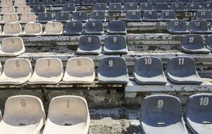 صندلی ورزشگاه