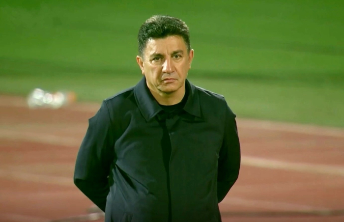 امیر قلعه نویی