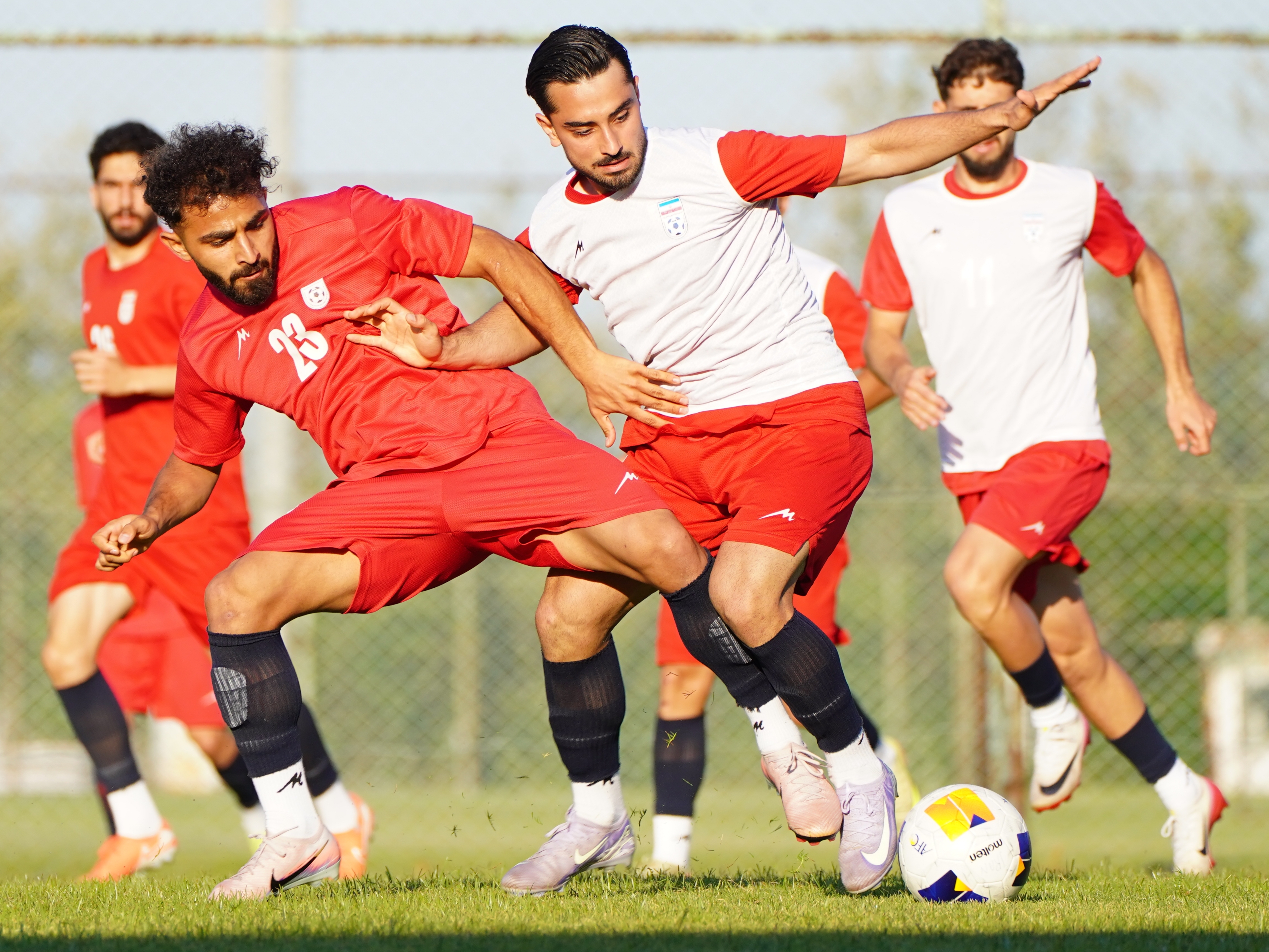 تیم ملی