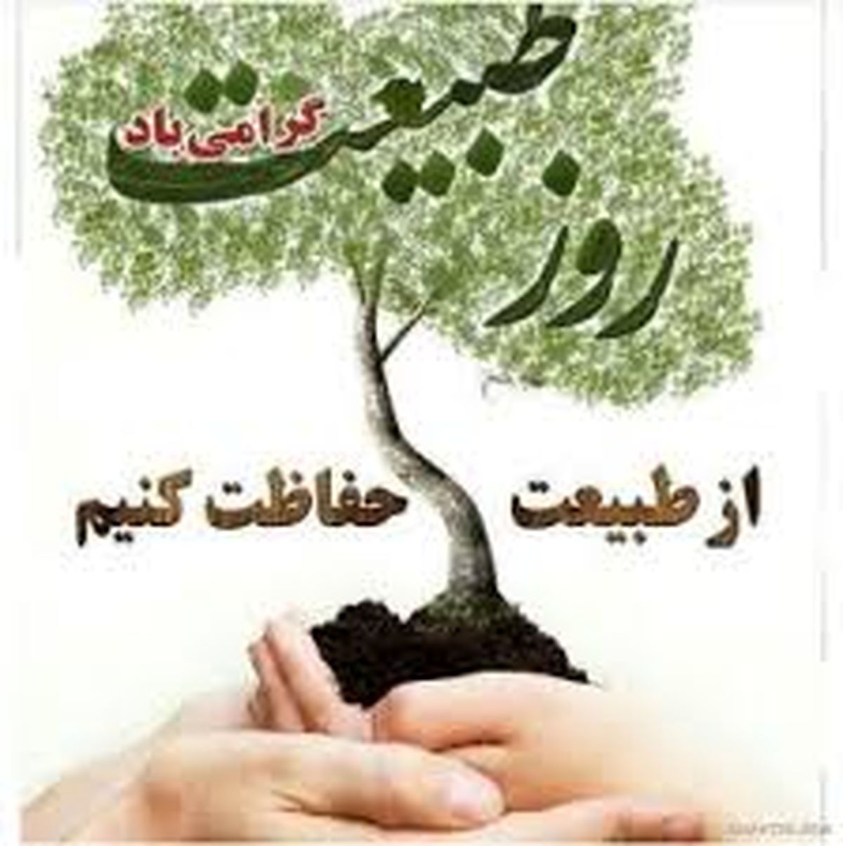  روز طبیعت همراه با ۱۵۰۰ واحد گشت حفاظت منابع طبیعی 
