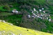 نرخ تورم سالانه روستایی کاهش یافت