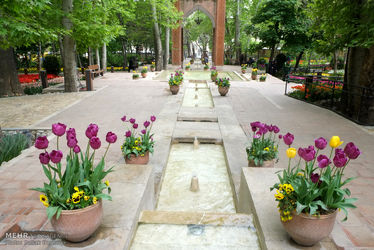 2053373_DSCF2592