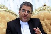 سفیر ایران در اردن: صادرات موشک به انصارالله دروغ است