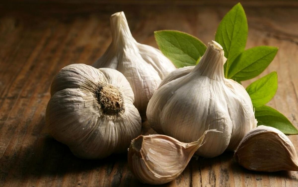 
آیا می‌دانید سیر عوارض بسیار جدی دارد؟
