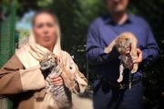 چه کسی گونه‌های ارزشمند بومی را به قفس‌های یک باغ وحش غیرمجاز سپرد؟