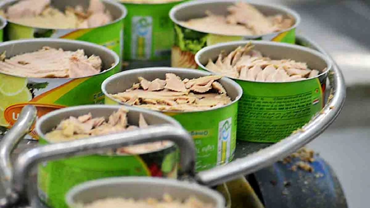 قیمت چند نشان تجاری تن ماهی در بازار
