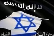 یک کارشناس صهیونیست هدف اصلی داعش را لو داد