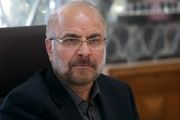 پیام رئیس مجلس در پی شهادت محسن فخری زاده