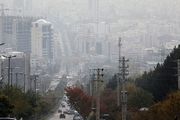 کاهش عوارض ناشی از آلودگی هوا با تغذیه مناسب