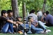 جمع آوری قلیان از بوستان‌ها و معابر