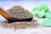 گیاهی که با 45 بیماری مبارزه می‌کند