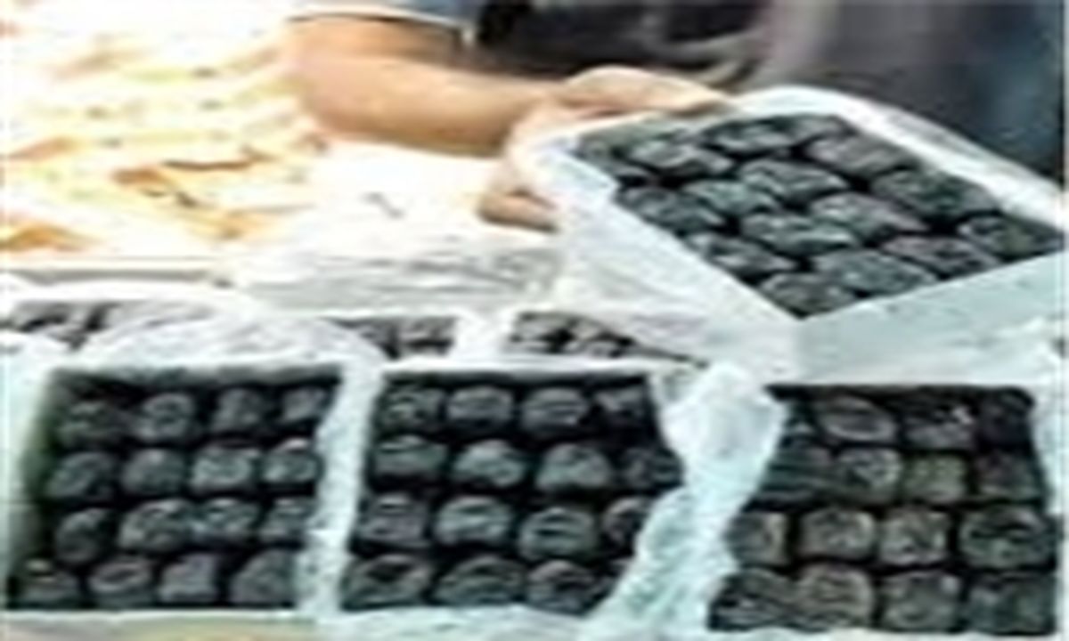 تلاش آمریکا برای گرفتن بازار جهانی خرما 