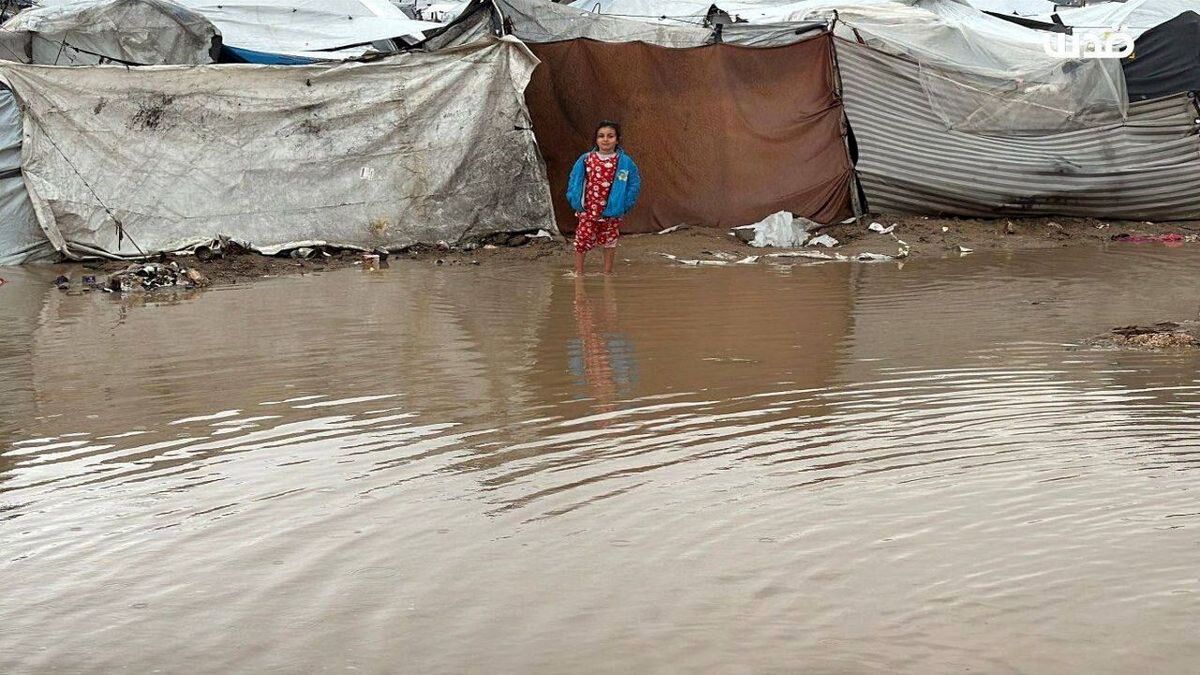 افزایش مرگ و میر نوزادان در نوار غزه با تشدید موج سرما