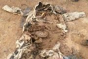کشف پیکر یک شهید دفاع مقدس در منطقه مرزی نفت شهر 