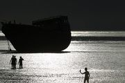 کلبه هور - خلیج فارس/ گزارش تصویری