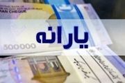 این خانوارها مشمول سبد غذایی رایگان می‌شوند