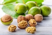 فواید گردو برای کودکان