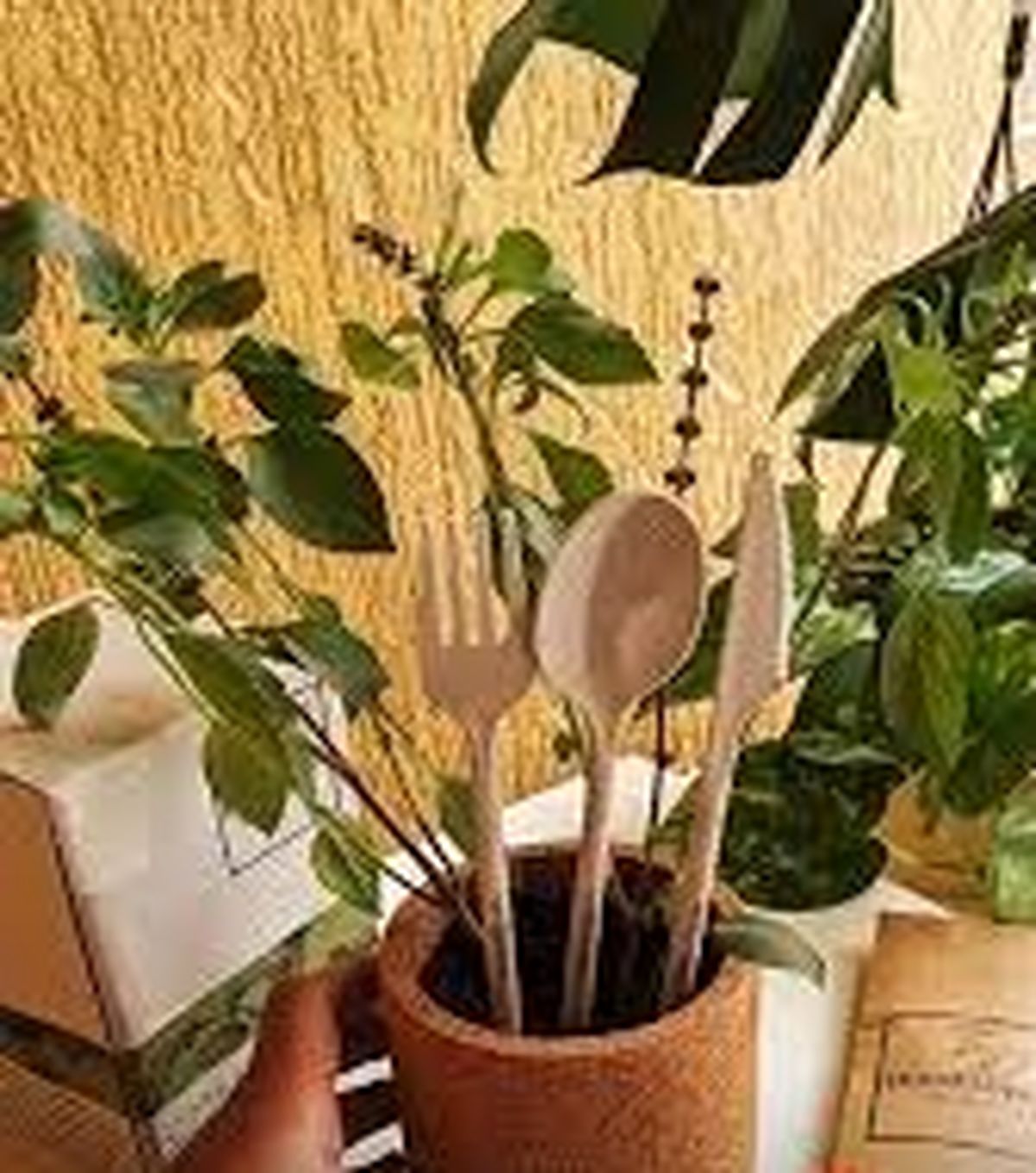 قاشق و چنگال‌های «کاشتنی»، ابداع شرکت اماراتی
