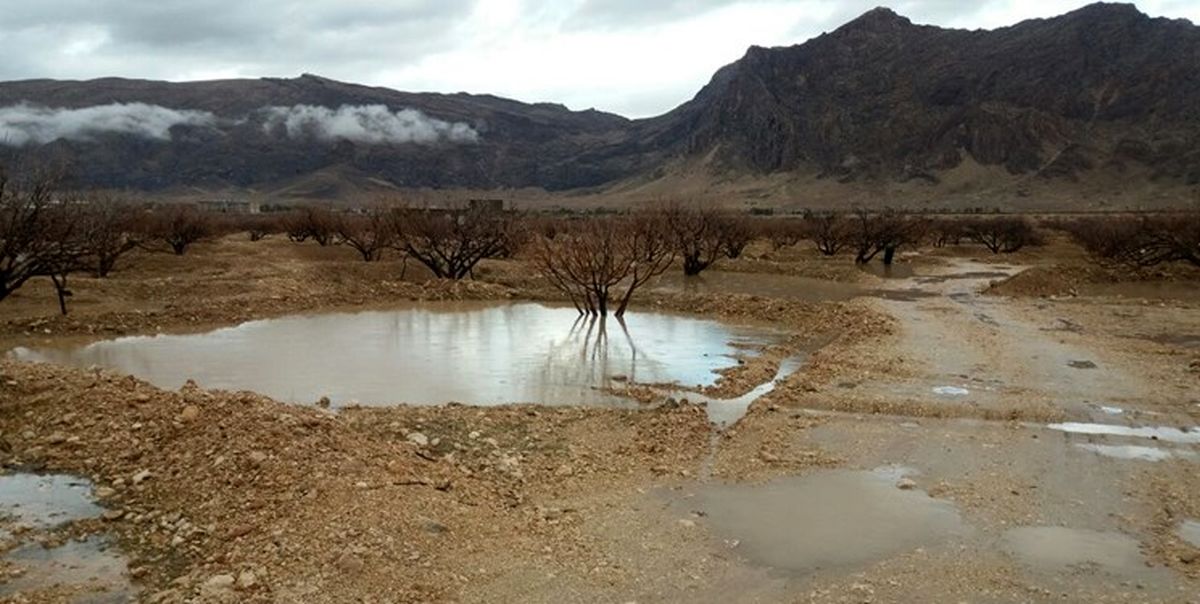 وزش باد و کاهش آلودگی هوای تهران