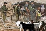 بُز دزدی ارتش رژیم صهیونیستی!