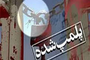 پلمپ 15 آرایشگاه زنانه