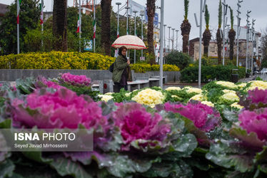 62883160_Javad-Mirhosseini-6397
