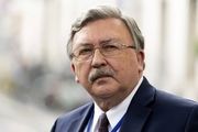 قطعنامه ضدایرانی یک اشتباه محاسباتی بود