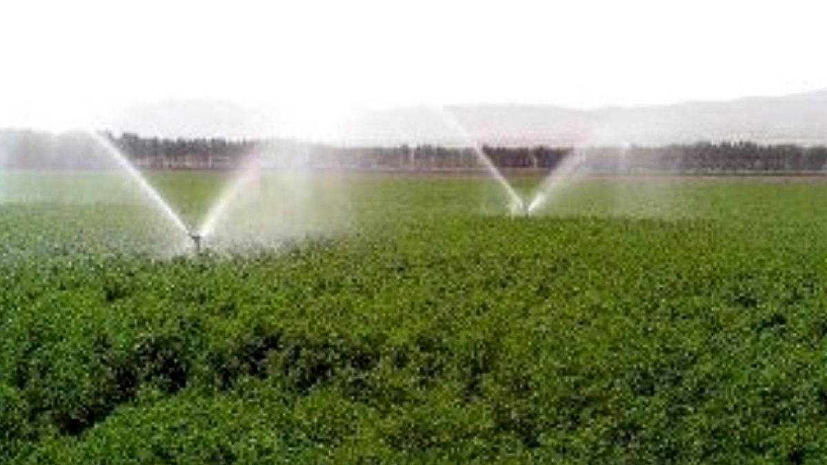 افزایش ۳۰ درصدی بهره وری آب با توسعه سامانه های نوین آبیاری
