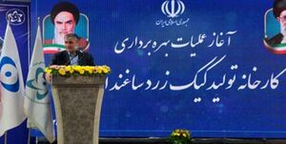 
تولید کیک زرد ۵۰ درصد افزایش می‌یابد
