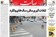 تلفات‌گیری مکرر سگ‌های ولگرد/جنگ اوکراین و زمزمه نفت 380 دلاری/کرونا خیز گرفت؟/پیشخوان