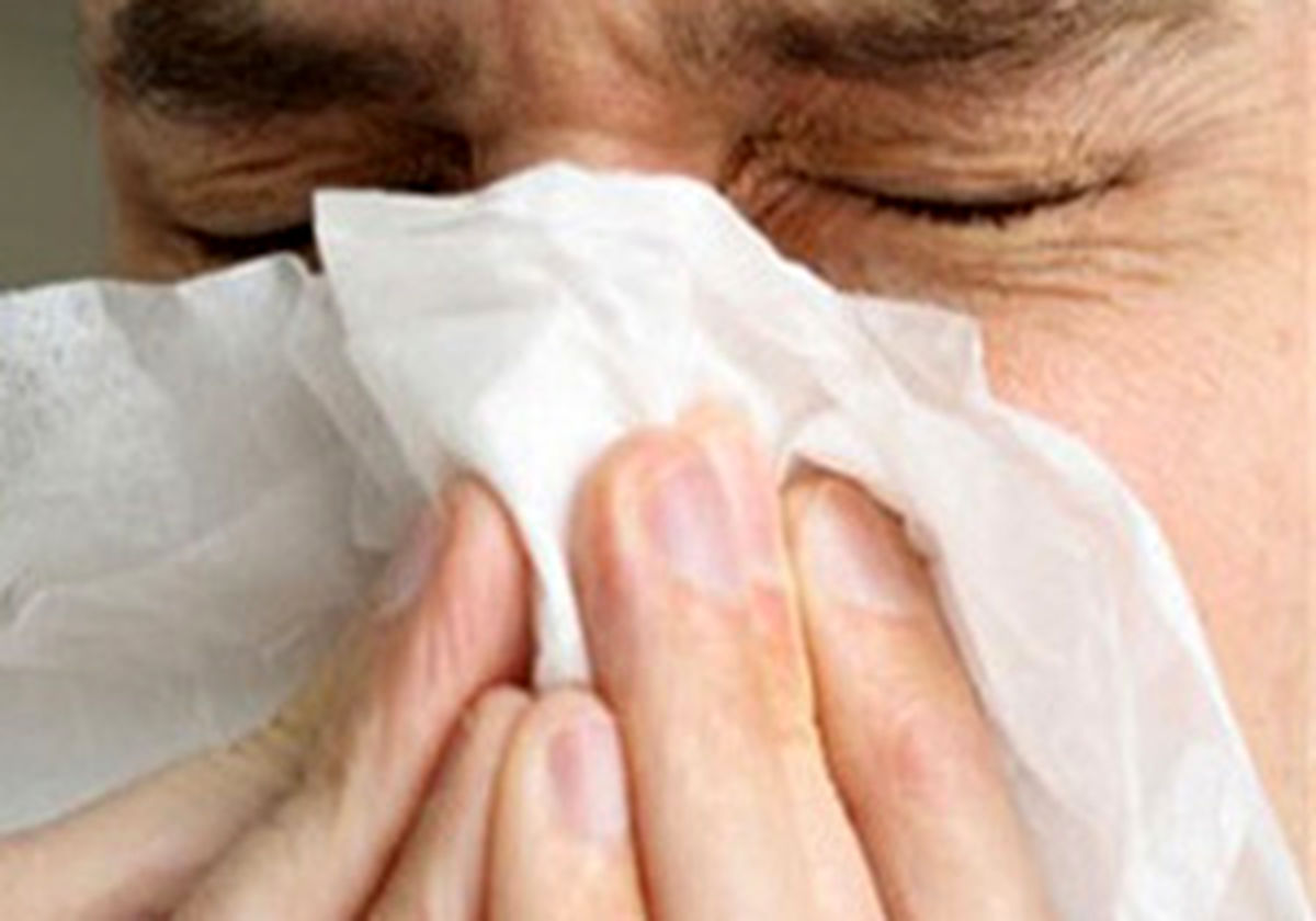 رژیم غذایی برای مهار آنفلوآنزا 