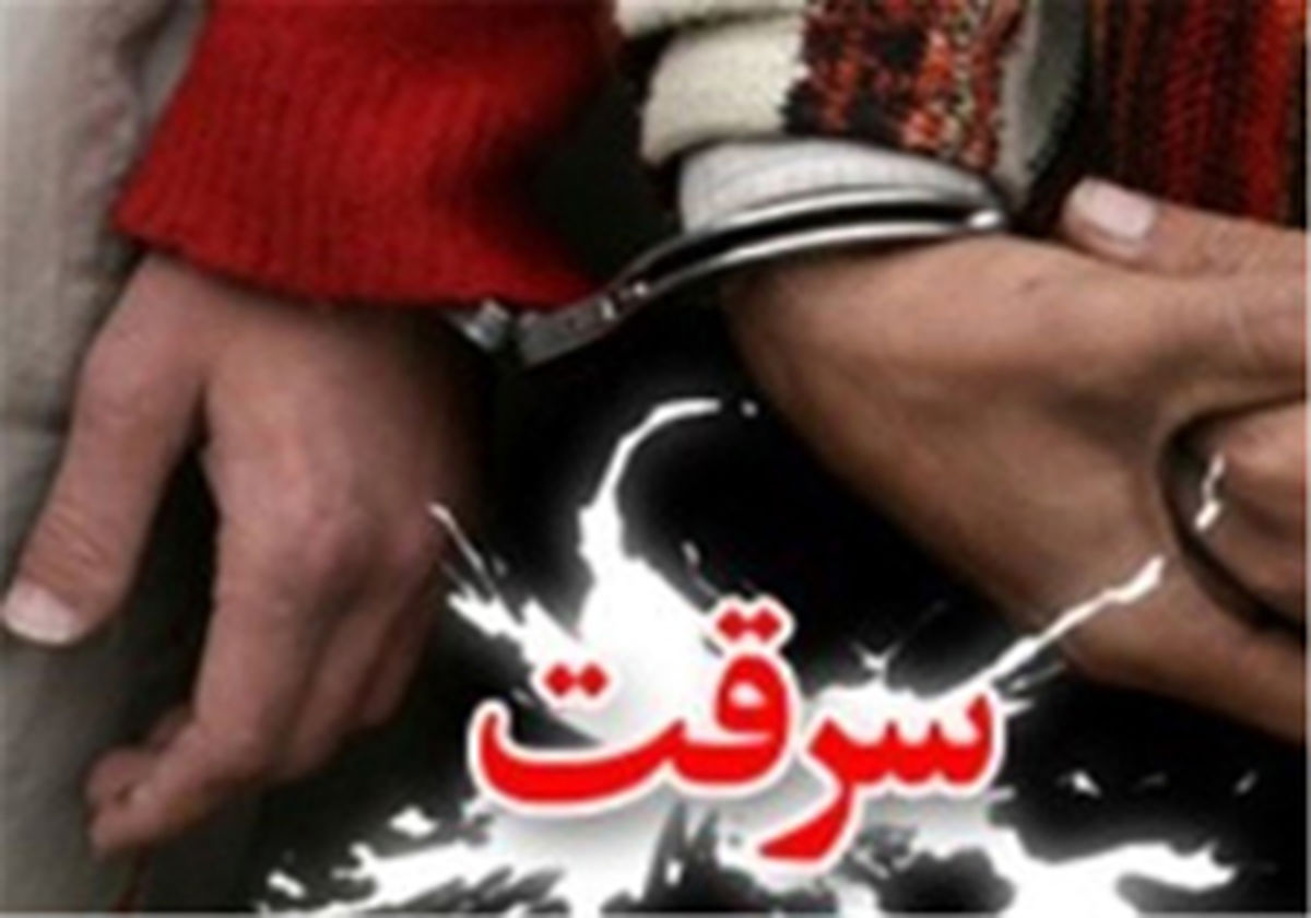 
کشف راز 42 فقره سرقت در شیراز
