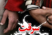 
کشف راز 42 فقره سرقت در شیراز

