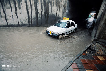 3394246_IMG_1310