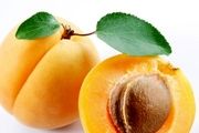 میوه طلایی تابستان را از دست ندهید