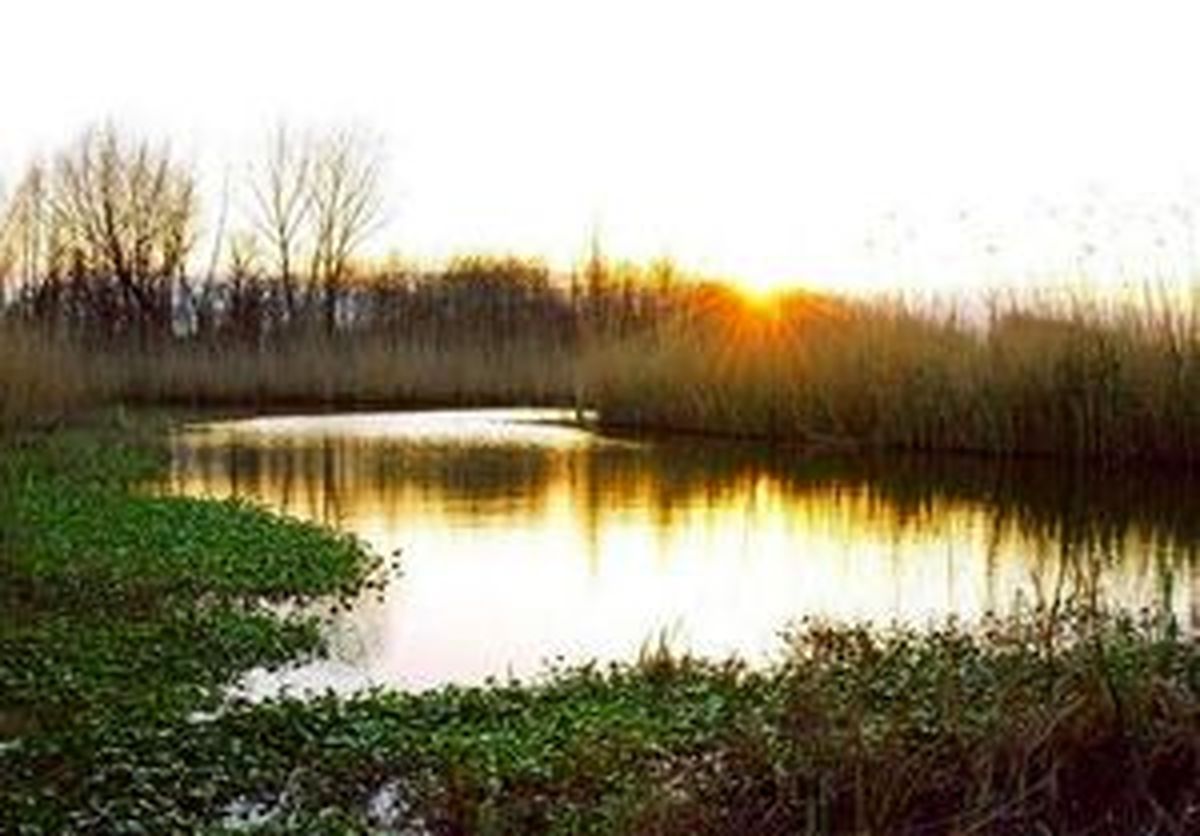 حال تالاب انزلی خوب نیست