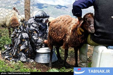 روز ملی روستا و عشایر/گزارش تصویری