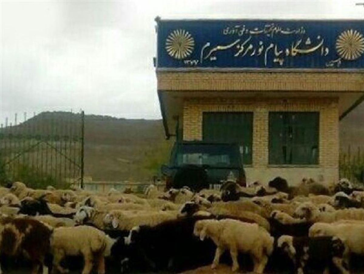 قانون شکنانی که قانون در برابرشان کم می آورد