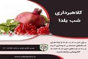 هشدار پلیس فتا درخصوص فرصت طلبی کلاهبرداران در شب یلدا