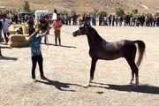 موردی از بیماری «مشمشه» در تاکستان مشاهده نشده است