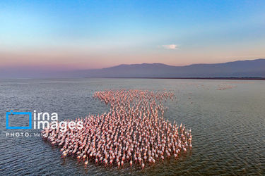 172705336_DJI_20251227162120_0149_D_MEDIDJI3