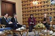 دیدار سفیر سوئیس با وزیر اقتصاد با موضوع FATF