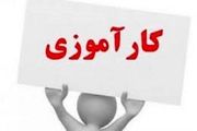 کارآموزان از نظر حقوقی چه کسانی هستند؟
