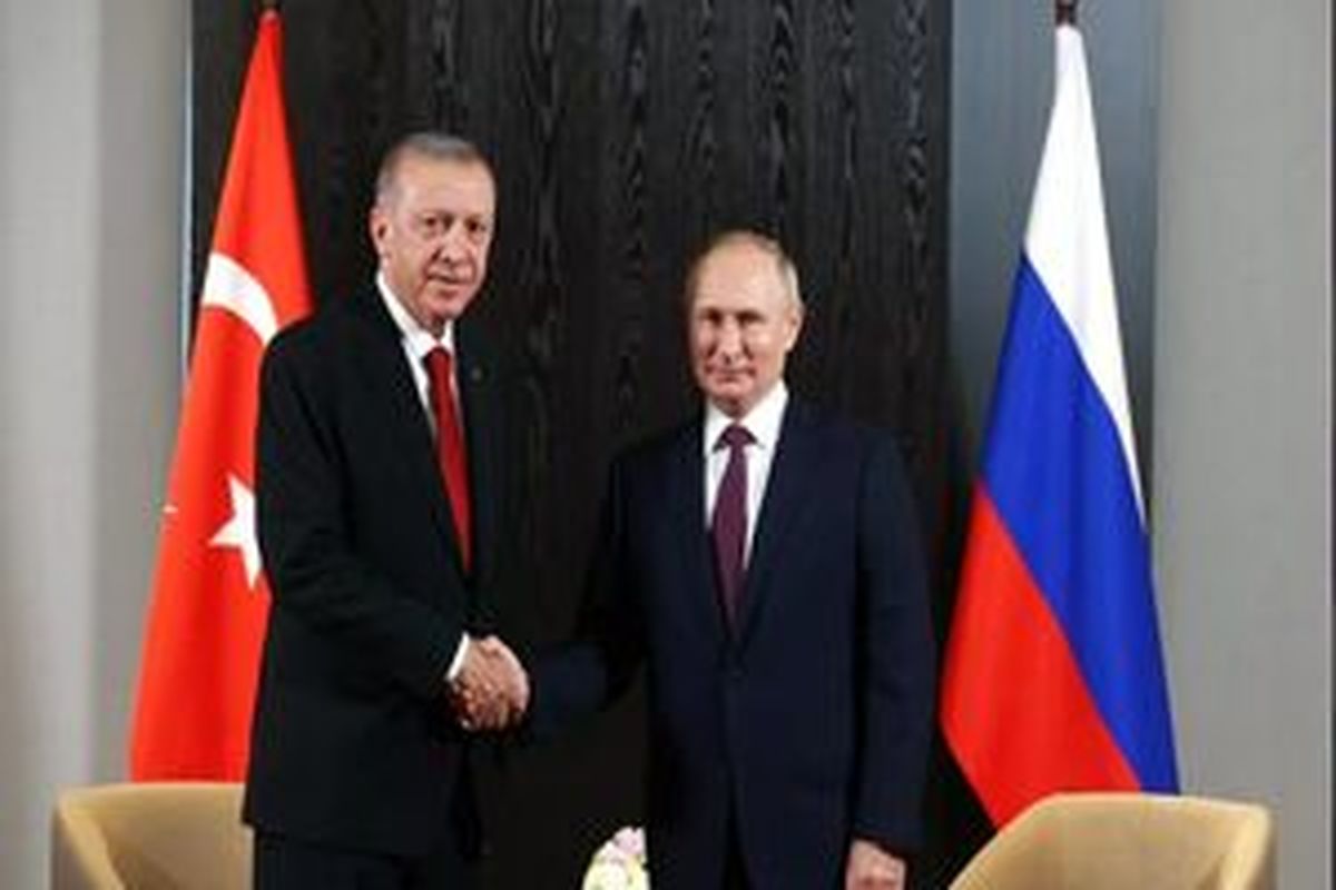 
دستان خالی اردوغان در برابر پوتین
