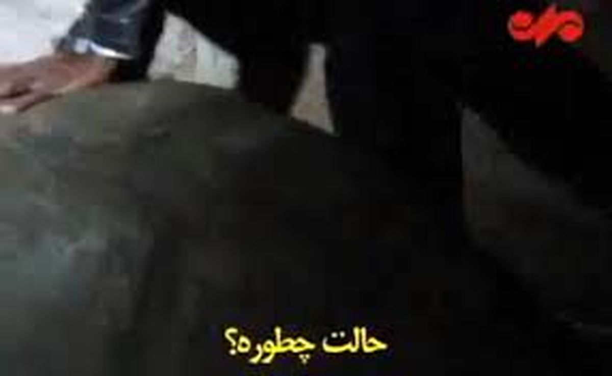 شوخی وزیر خارجه با لاک‌پشت ۳۰۰ ساله / فیلم