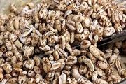 لاغرها این ماده غذایی را فراموش نکنند