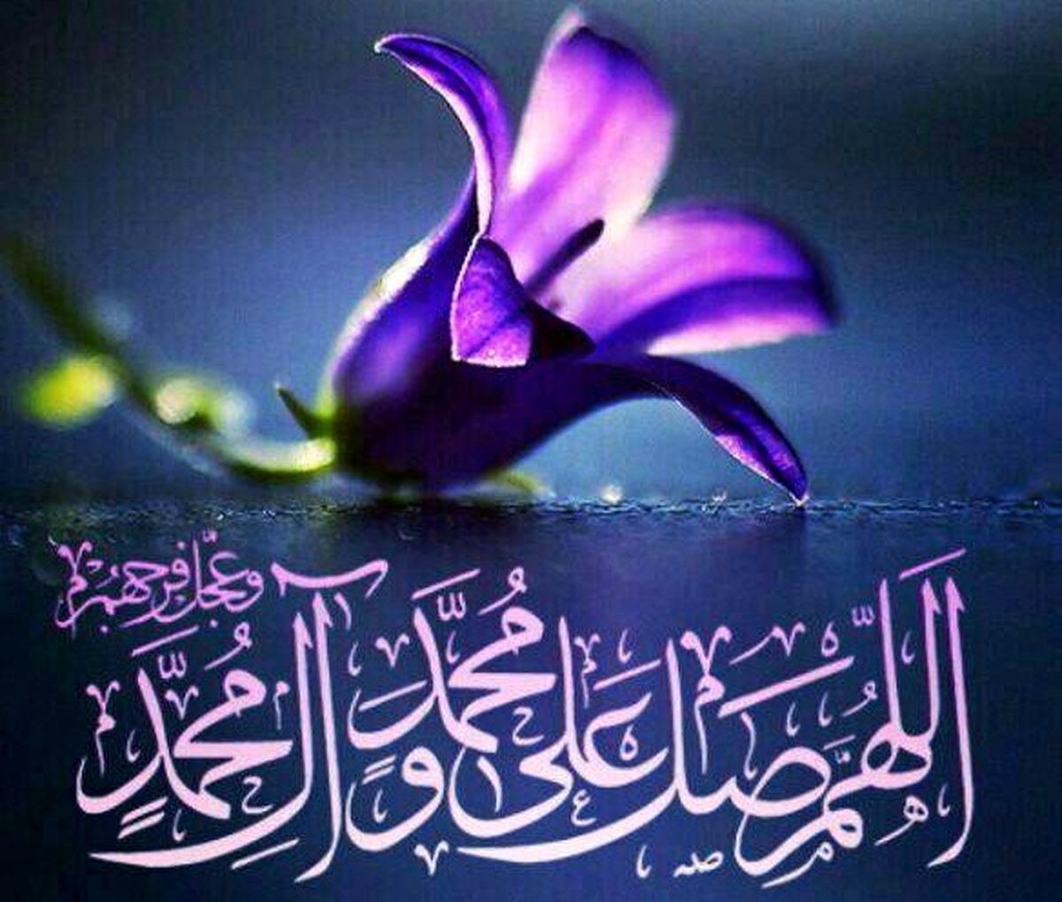 نزدیک ترین شخص به پیامبر(ص) در روز قیامت چه کسی است؟