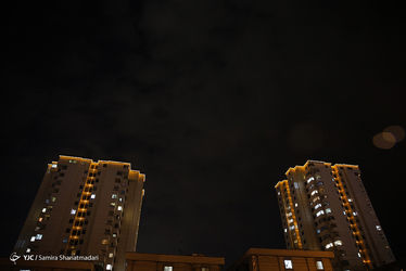 12305218_513
