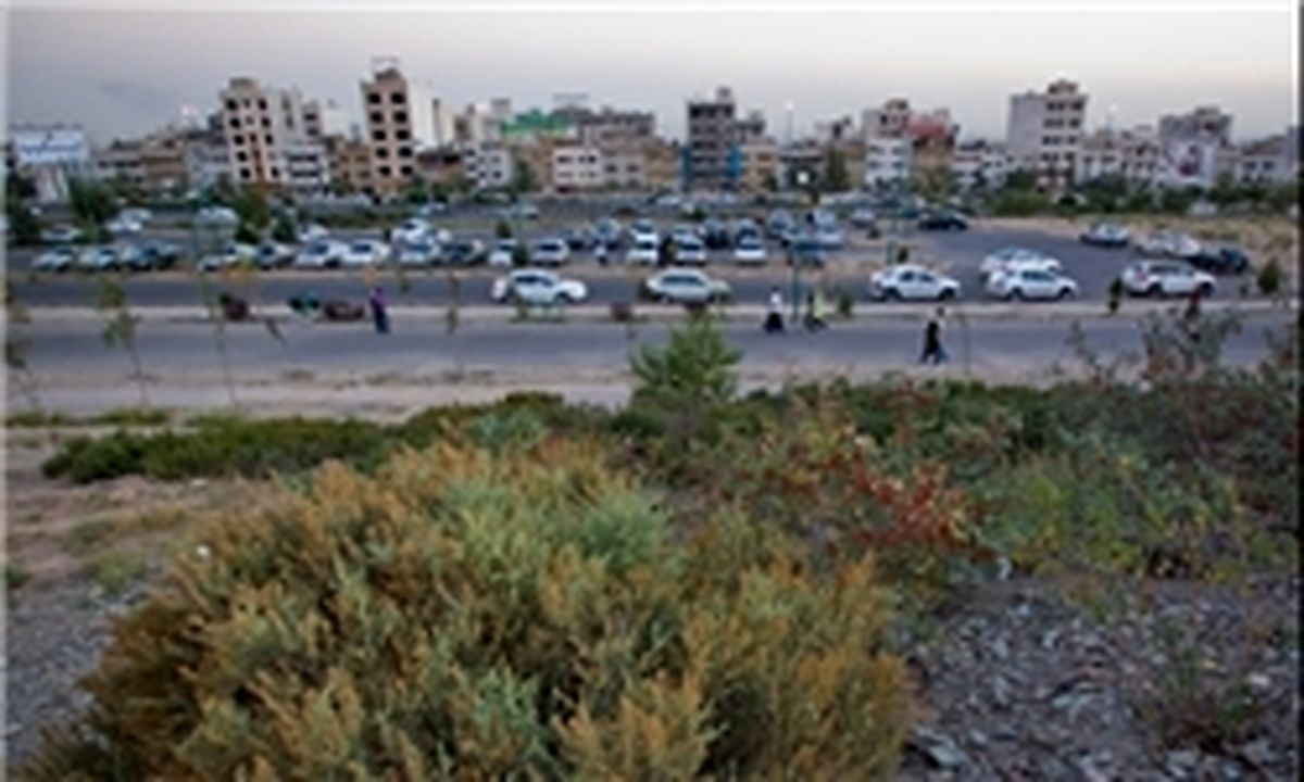 اعتراض اعضای شورا به کاهش بودجه پارک پردیسان