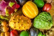 ممنوعیت واردات برخی میوه‌ها مجوزی برای قاچاق است
